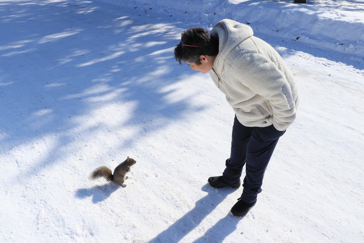 How to Safely Introduce New Pets to Your Home